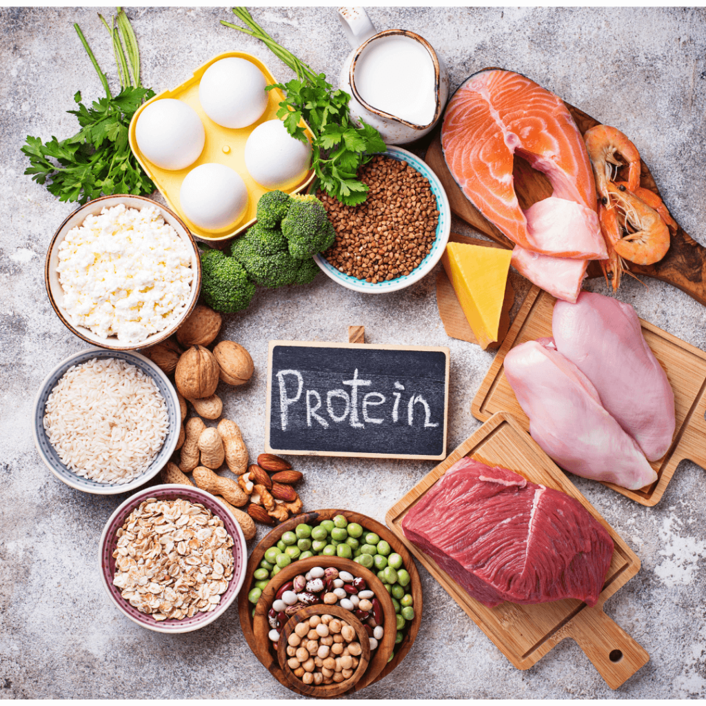 Proteinhaltige Lebensmittel für das Immunsystem