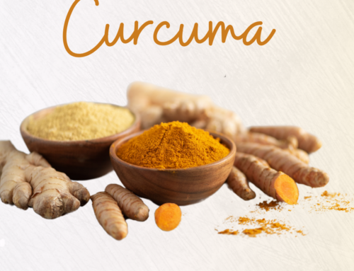 Curcuma