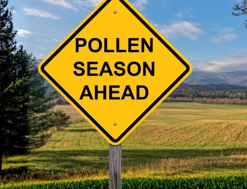 Was hilft bei Heuschnupfen?